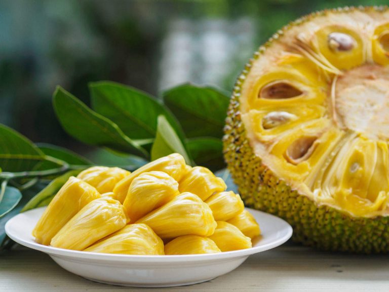 Jackfruit berries and health benefits